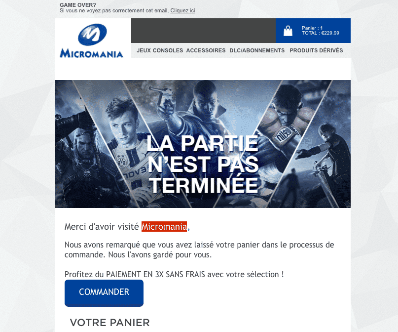 exemple email relance panier abandonne