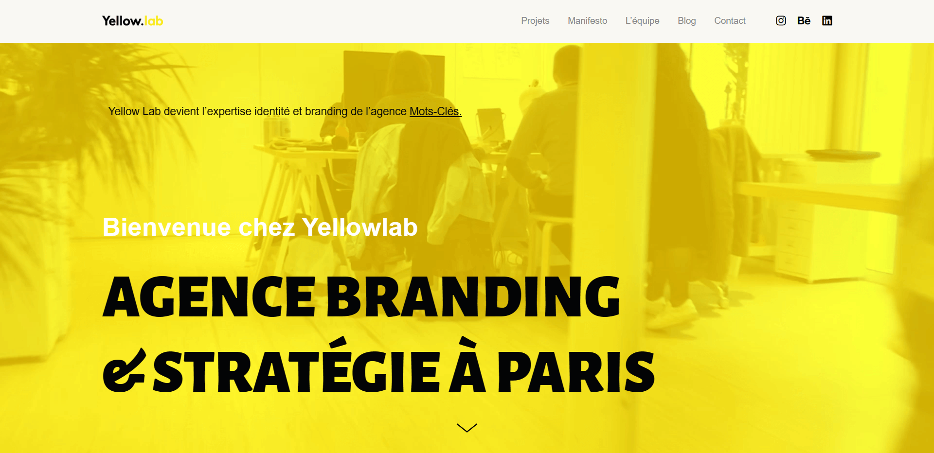 agence branding yellow lab