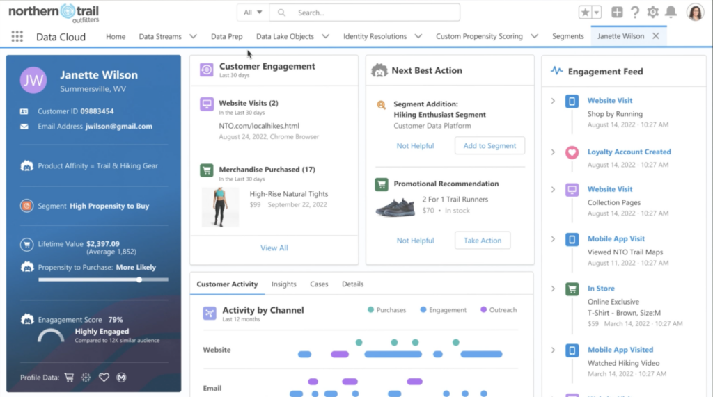 capture écran dashboard salesforce marketing cloud