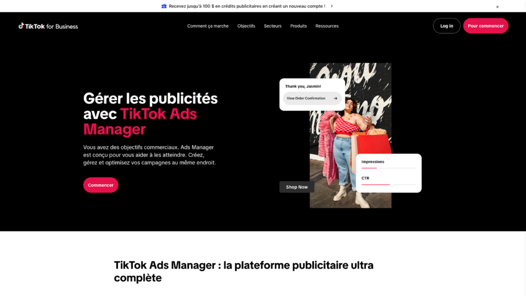 capture écran tiktok ads manager